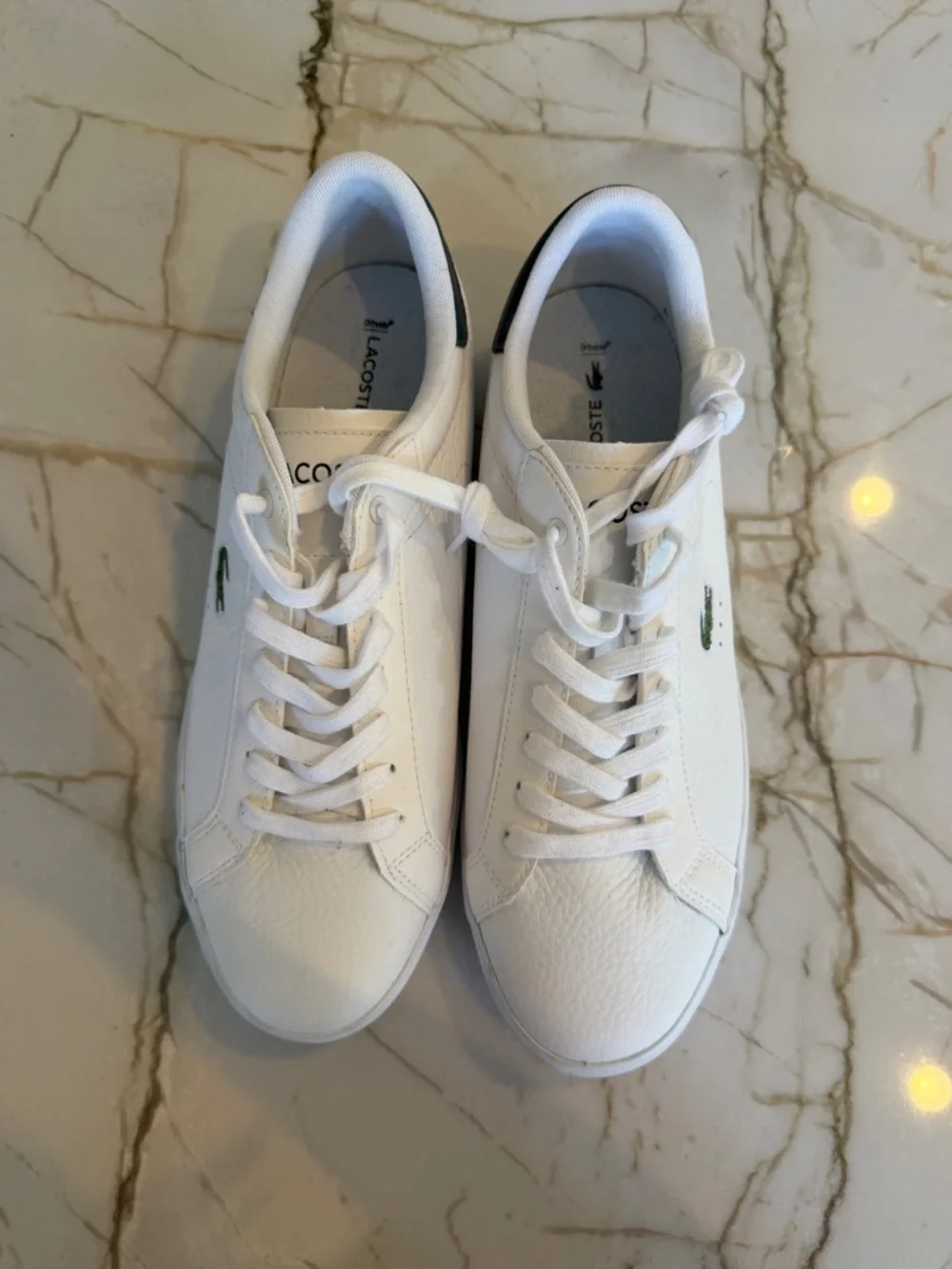 Men's Lacoste Sneakers
